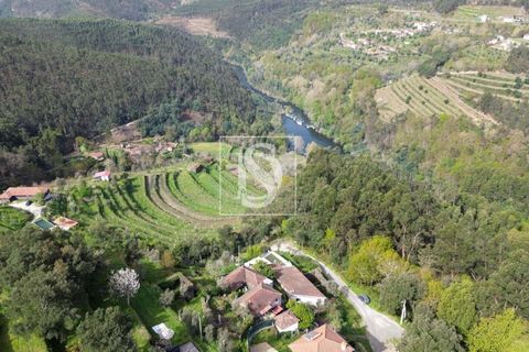 Villa i Amarante, Porto, Amarante - € 38.000 | Ref: AMTRM698/12937 - foto 3