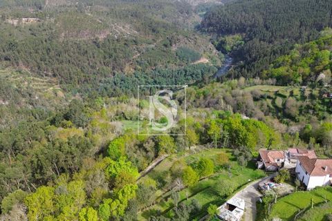Villa i Amarante, Porto, Amarante - € 38.000 | Ref: AMTRM698/12937 - foto 8