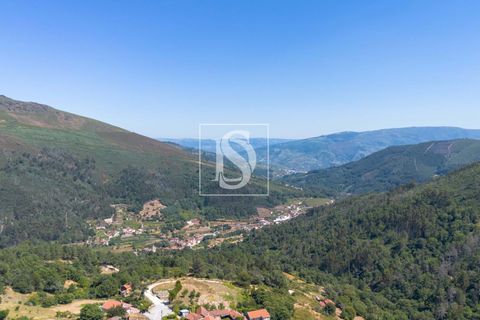 Villa i Baiao, Porto, Baiao - € 235.000 | Ref: DSAMTGD4/12937 - foto 25