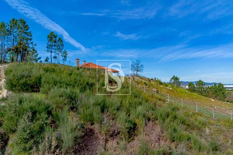 Helårsgrund i Amarante, Porto, Amarante - € 75.000 | Ref: DSAMTGD96/12937 - foto 7