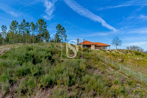 Helårsgrund i Amarante, Porto, Amarante - € 75.000 | Ref: DSAMTGD96/12937 - foto 8