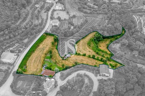 Villa em Amarante, Porto, Amarante - € 195.000 | Ref: DSAMTGD152/12937 - foto 10