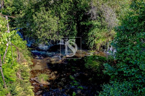 Villa i Amarante, Porto, Amarante - € 192.000 | Ref: DSAMTST156/12937 - foto 4