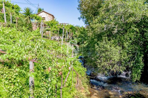 Villa i Amarante, Porto, Amarante - € 192.000 | Ref: DSAMTST156/12937 - foto 35