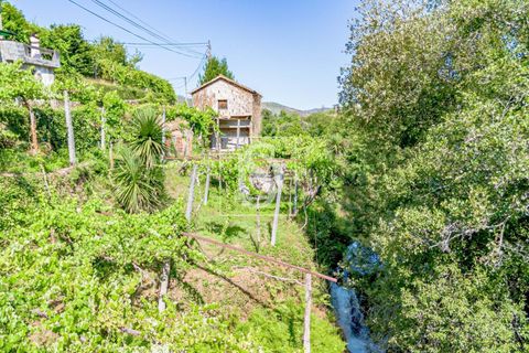 Villa i Amarante, Porto, Amarante - € 192.000 | Ref: DSAMTST156/12937 - foto 36