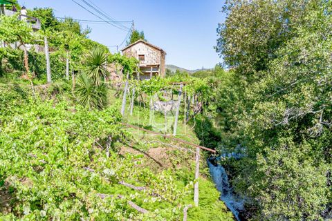 Villa i Amarante, Porto, Amarante - € 192.000 | Ref: DSAMTST156/12937 - foto 37