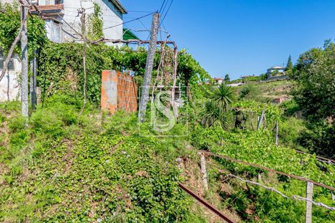 Villa i Amarante, Porto, Amarante - € 192.000 | Ref: DSAMTST156/12937 - foto 40