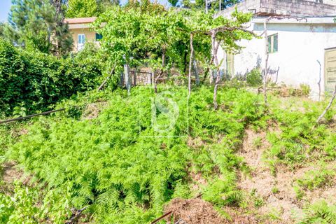 Villa i Amarante, Porto, Amarante - € 192.000 | Ref: DSAMTST156/12937 - foto 41