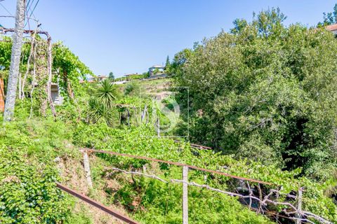 Villa i Amarante, Porto, Amarante - € 192.000 | Ref: DSAMTST156/12937 - foto 42