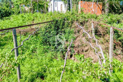 Villa i Amarante, Porto, Amarante - € 192.000 | Ref: DSAMTST156/12937 - foto 43
