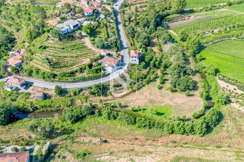 Villa i Amarante, Porto, Amarante - € 192.000 | Ref: DSAMTST156/12937 - foto 46