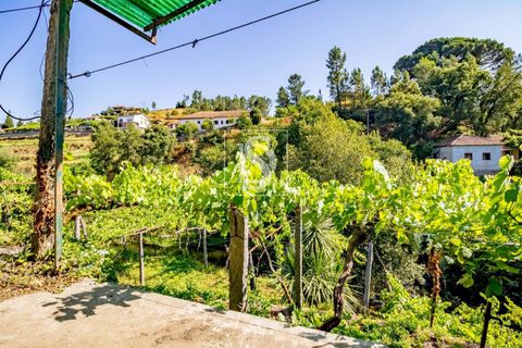 Villa i Amarante, Porto, Amarante - € 192.000 | Ref: DSAMTST156/12937 - foto 48