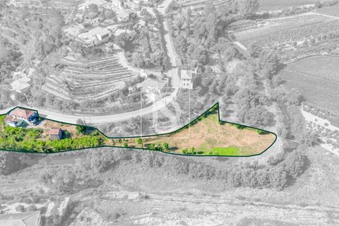 Villa i Amarante, Porto, Amarante - € 192.000 | Ref: DSAMTST156/12937 - foto 50