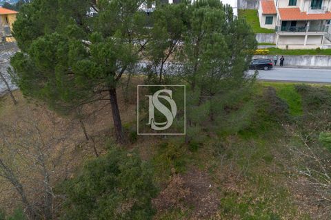 Helårsgrund i Amarante, Porto, Amarante - € 57.500 | Ref: DSAMTAMTJM94/12937 - foto 13