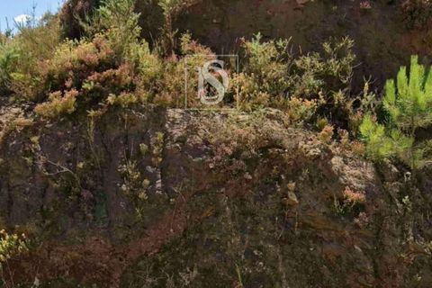 Helårsgrund i Amarante, Porto, Amarante - € 55.000 | Ref: 20251116HG/12937 - foto 1