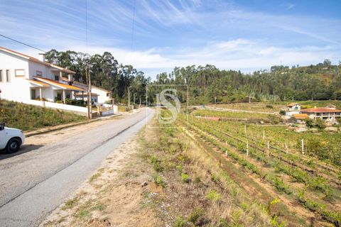 Helårsgrund i Amarante, Porto, Amarante - € 45.000 | Ref: 20251122HG/12937 - foto 7