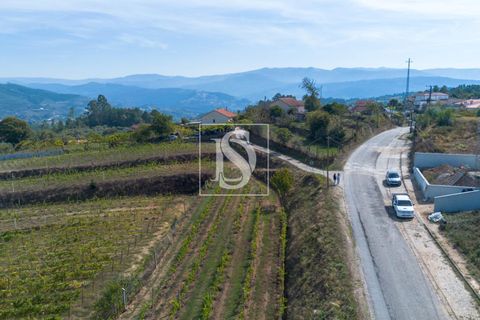Helårsgrund i Amarante, Porto, Amarante - € 45.000 | Ref: 20251122HG/12937 - foto 9