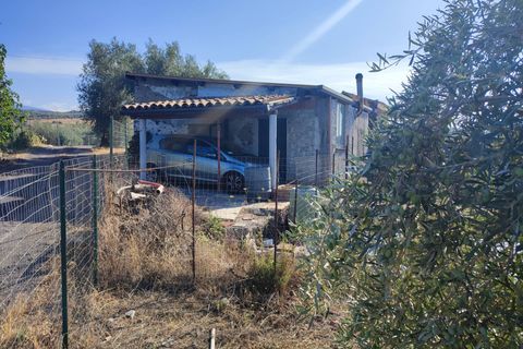 Helårsgrund i Paterno, Catania, Paterno - € 33.000 | Ref: 628 - foto 2