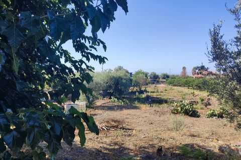 Helårsgrund i Paterno, Catania, Paterno - € 33.000 | Ref: 628 - foto 10