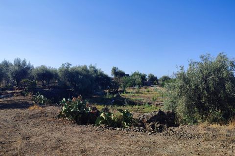 Helårsgrund i Paterno, Catania, Paterno - € 33.000 | Ref: 628 - foto 11