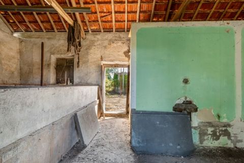 Villa i Vidais, Leiria, Vidais - € 150.000 | Ref: CAS_37 - foto 4