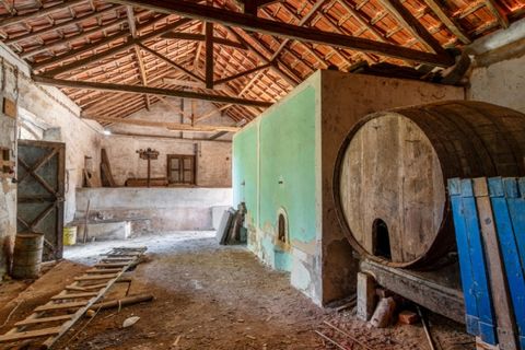 Villa i Vidais, Leiria, Vidais - € 150.000 | Ref: CAS_37 - foto 10