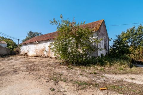 Villa i Vidais, Leiria, Vidais - € 150.000 | Ref: CAS_37 - foto 11