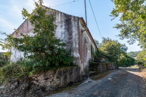 Villa i Vidais, Leiria, Vidais - € 150.000 | Ref: CAS_37 - foto 13