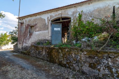 Villa i Vidais, Leiria, Vidais - € 150.000 | Ref: CAS_37 - foto 14