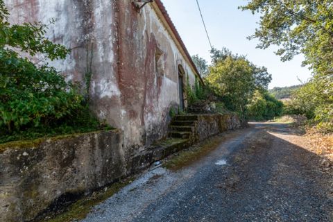 Villa i Vidais, Leiria, Vidais - € 150.000 | Ref: CAS_37 - foto 15