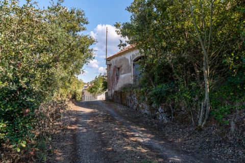 Villa i Vidais, Leiria, Vidais - € 150.000 | Ref: CAS_37 - foto 26