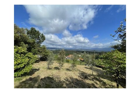 Terra a Arrifana, Aveiro, Arrifana - € 50.000 | Ref: 2563 TER - foto 2