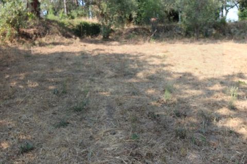 Terra a Arrifana, Aveiro, Arrifana - € 50.000 | Ref: 2563 TER - foto 3
