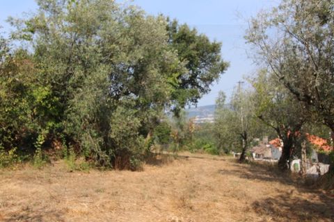 Terra a Arrifana, Aveiro, Arrifana - € 50.000 | Ref: 2563 TER - foto 5
