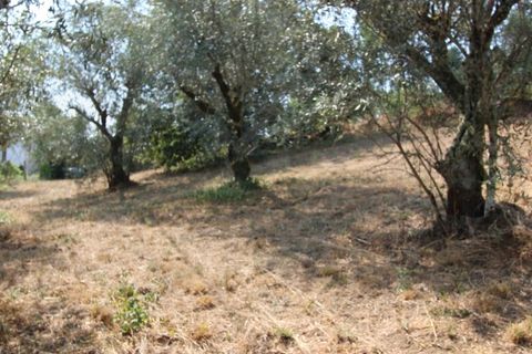 Terra a Arrifana, Aveiro, Arrifana - € 50.000 | Ref: 2563 TER - foto 6