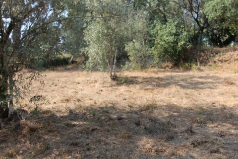 Terra a Arrifana, Aveiro, Arrifana - € 50.000 | Ref: 2563 TER - foto 7