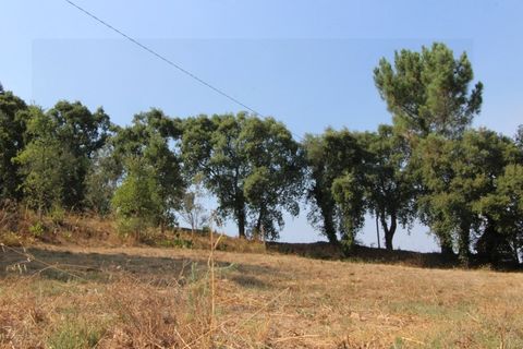 Terra a Arrifana, Aveiro, Arrifana - € 50.000 | Ref: 2563 TER - foto 8