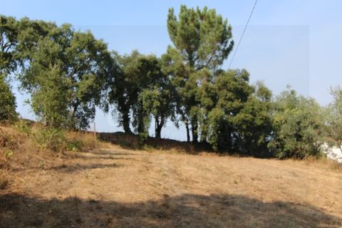 Terra a Arrifana, Aveiro, Arrifana - € 50.000 | Ref: 2563 TER - foto 9