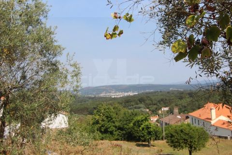 Terra a Arrifana, Aveiro, Arrifana - € 50.000 | Ref: 2563 TER - foto 10