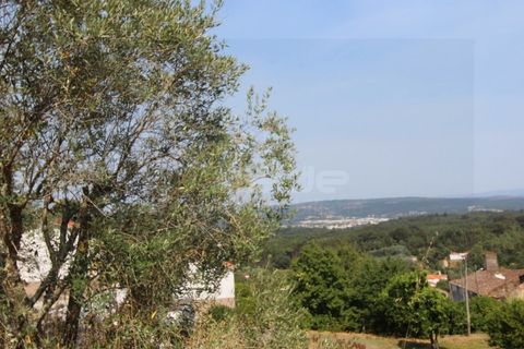 Terra a Arrifana, Aveiro, Arrifana - € 50.000 | Ref: 2563 TER - foto 11