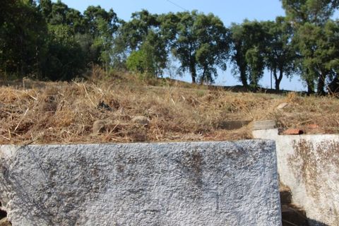 Terra a Arrifana, Aveiro, Arrifana - € 50.000 | Ref: 2563 TER - foto 13