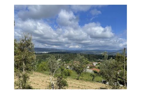 Terra a Arrifana, Aveiro, Arrifana - € 50.000 | Ref: 2563 TER - foto 14