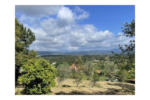 Terra a Arrifana, Aveiro, Arrifana - € 50.000 | Ref: 2563 TER - foto 15
