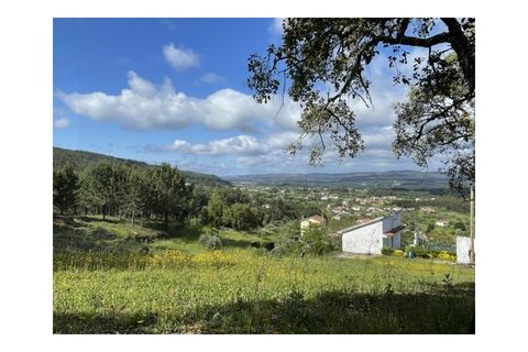 Terra a Arrifana, Aveiro, Arrifana - € 50.000 | Ref: 2563 TER - foto 16