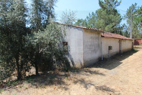 Farm i Santo Andre, Setubal, Santo Andre - € 130.000 | Ref: 2559 QUI - foto 2