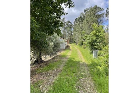 Farm i Santo Andre, Setubal, Santo Andre - € 130.000 | Ref: 2559 QUI - foto 4