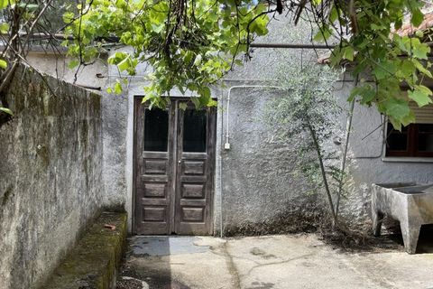 Farm i Santo Andre, Setubal, Santo Andre - € 130.000 | Ref: 2559 QUI - foto 6