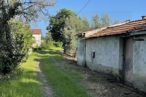 Farm i Santo Andre, Setubal, Santo Andre - € 130.000 | Ref: 2559 QUI - foto 11