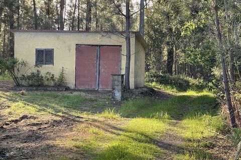 Farm i Santo Andre, Setubal, Santo Andre - € 130.000 | Ref: 2559 QUI - foto 12
