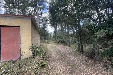 Farm i Santo Andre, Setubal, Santo Andre - € 130.000 | Ref: 2559 QUI - foto 13